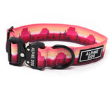 1.5" Tactical Collar by Alpine Dog, "Desert Sun" design