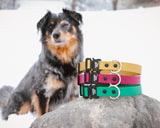 Alpine Dog BioThane Dog Collars